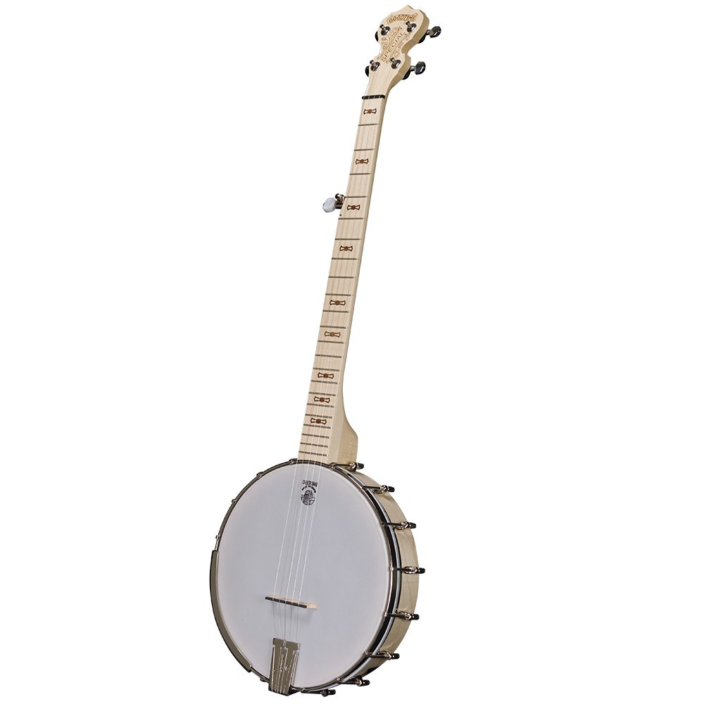 Goodtime Special Openback Banjo - front