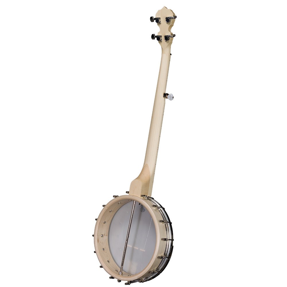 Goodtime Special Openback Banjo - back