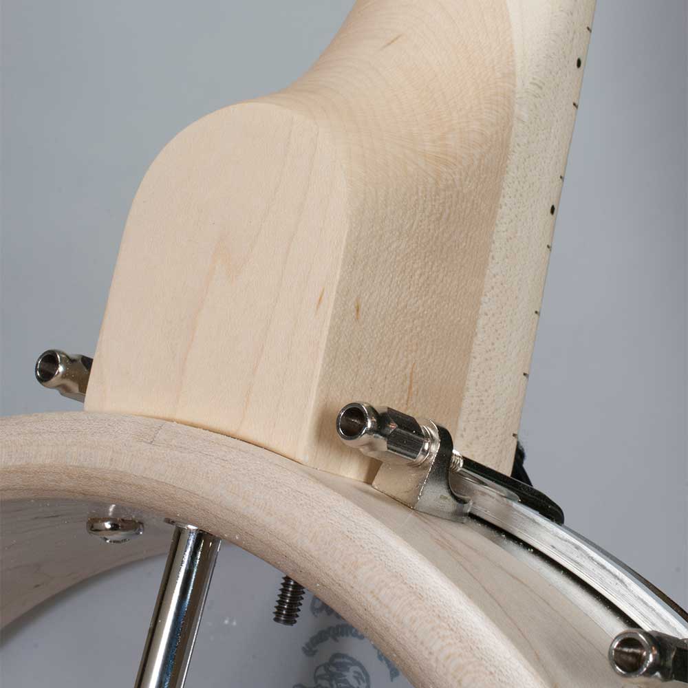 Goodtime Special Openback Banjo - neck joint back