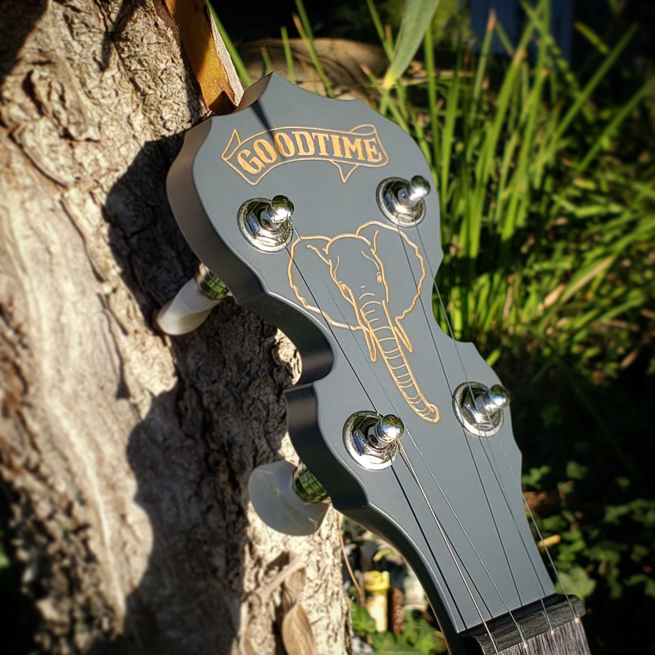 African Elephant Goodtime Charity Banjo