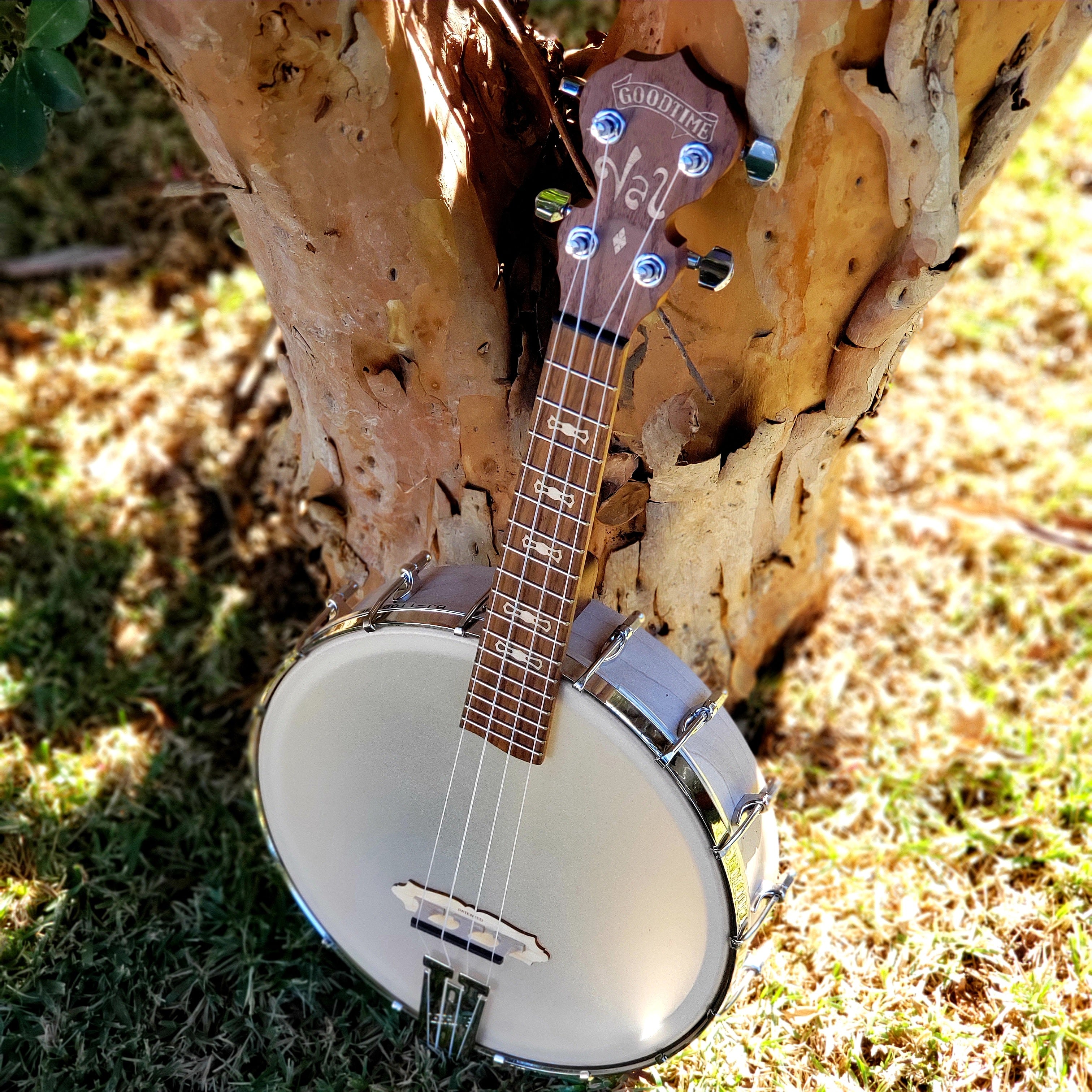SWEET LITTLE BABY GIVING TUESDAY BANJOLELE 2022 Valerie June