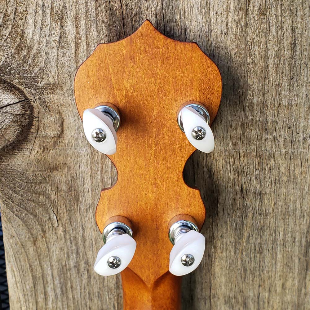 Bluegrass Ambassadors Giving Tuesday Banjo