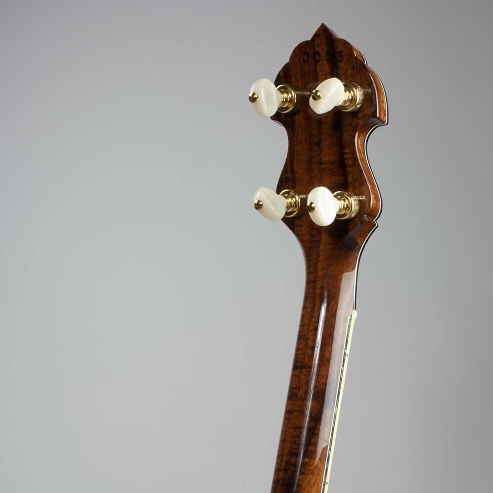 Vega® Kingston Trio Tom Dooley Long Neck Banjo