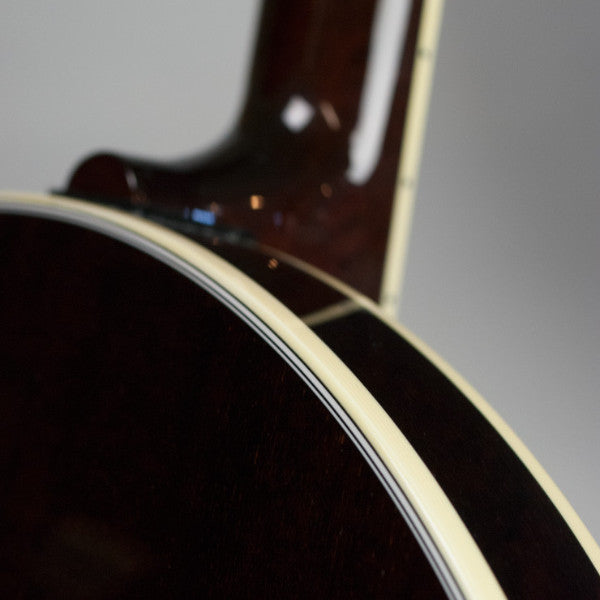 Tenbrooks Legacy Banjo - resonator back