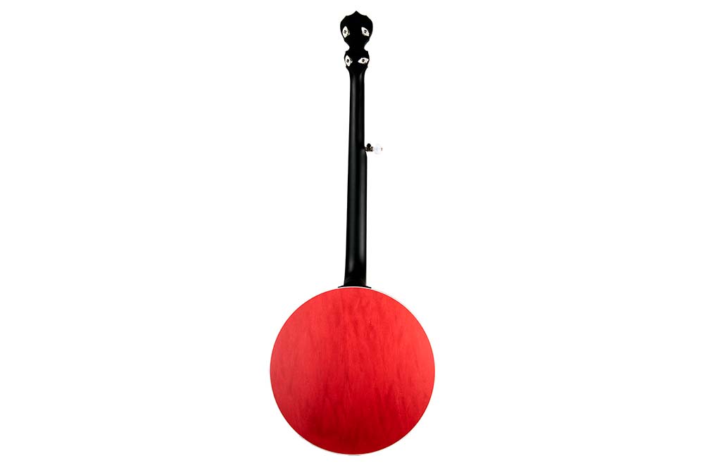 Washington DC Charity Banjo