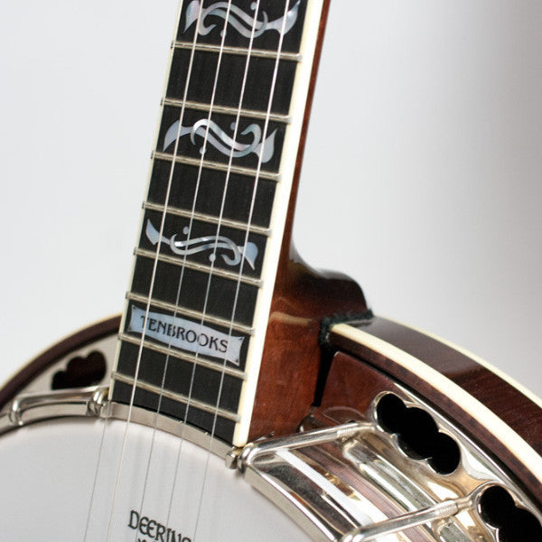 Deering Tenbrooks Saratoga Star banjo - pot and neck front