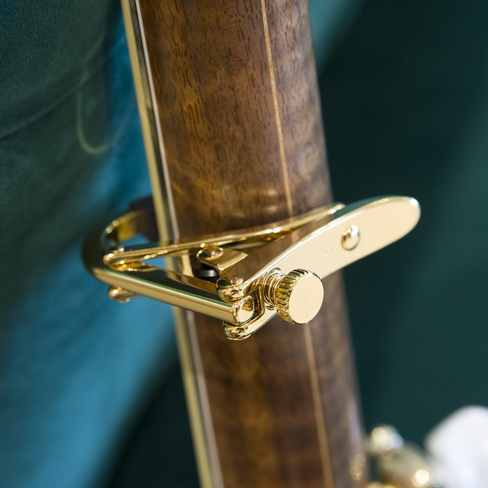 Shubb Capo Gold Plated Back