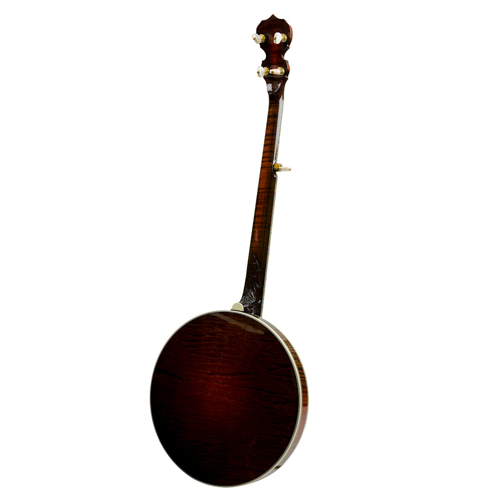 Deering Tree Of Life banjo - Back