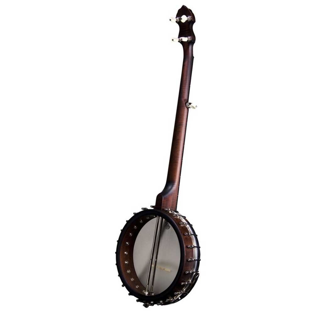 Vega Senator Banjo - back