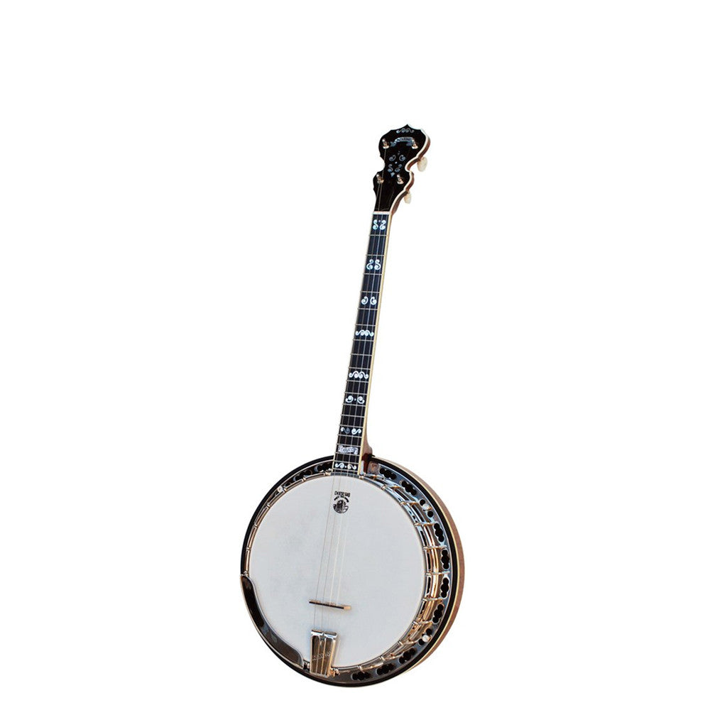 Deering Calico 19-fret tenor banjo - front