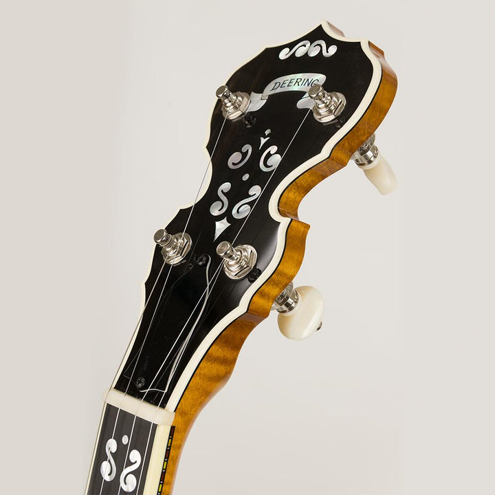 Deering Calico 19 fret tenor banjo peghead