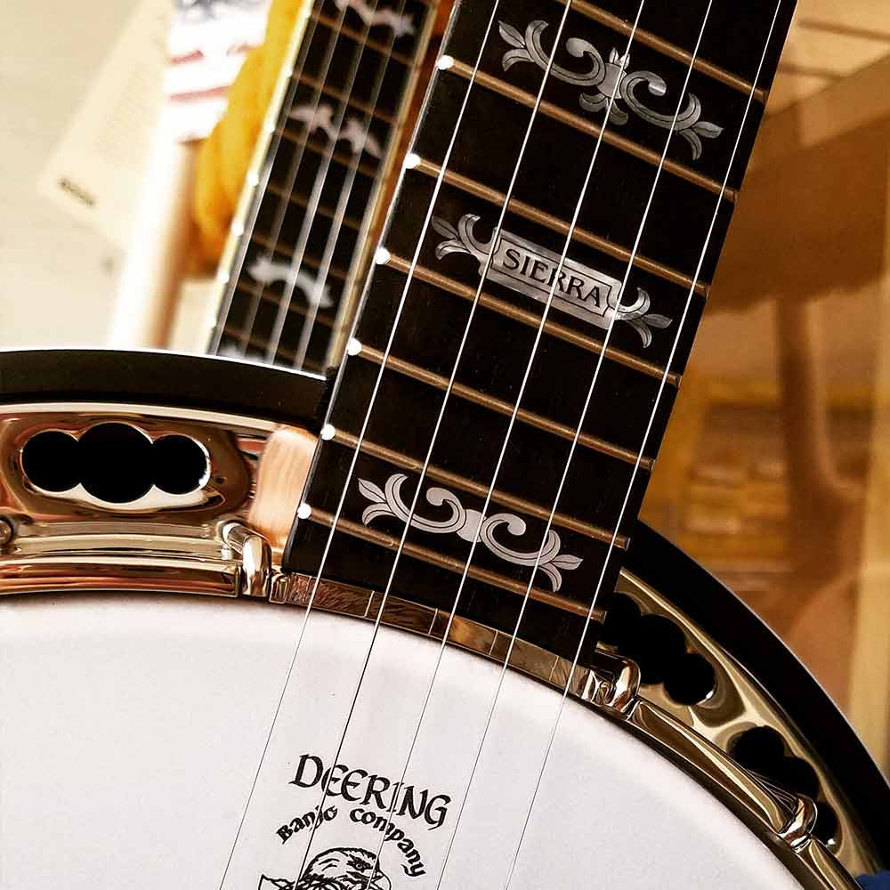 Deering Sierra banjo - neck and pot 2