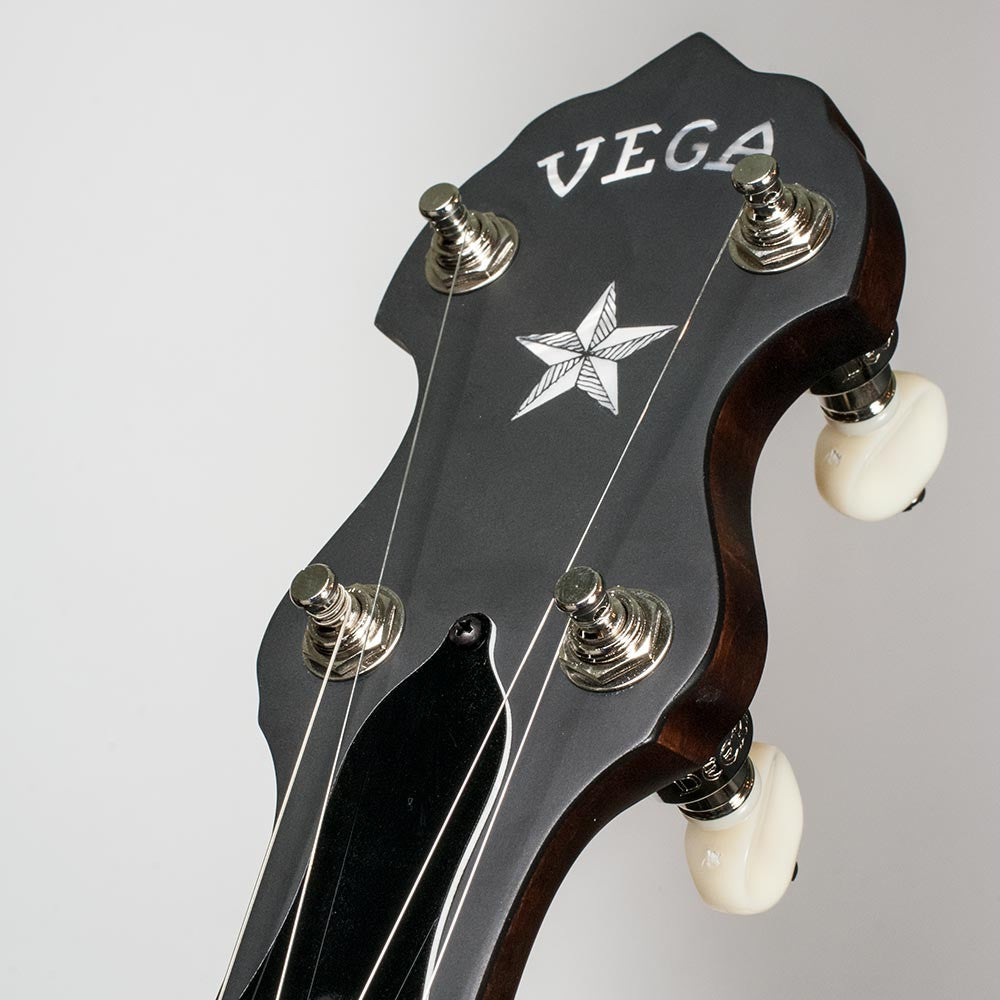 Vega Little Wonder banjo - peghead