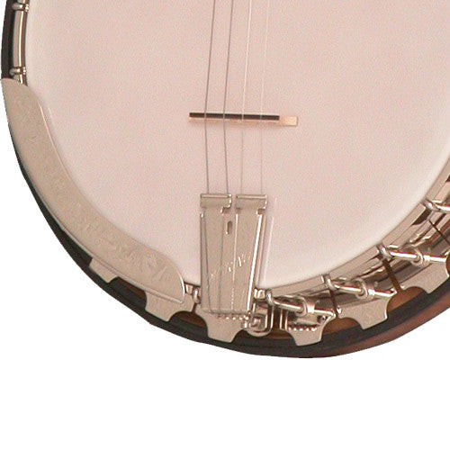 Vega® Professional 19-Fret Tenor Banjo