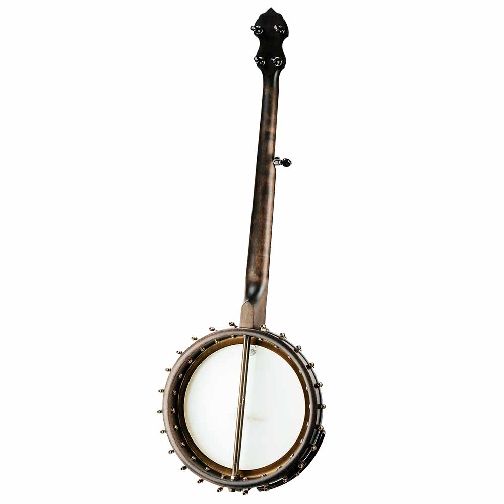 Vega Vintage Star banjo - back 