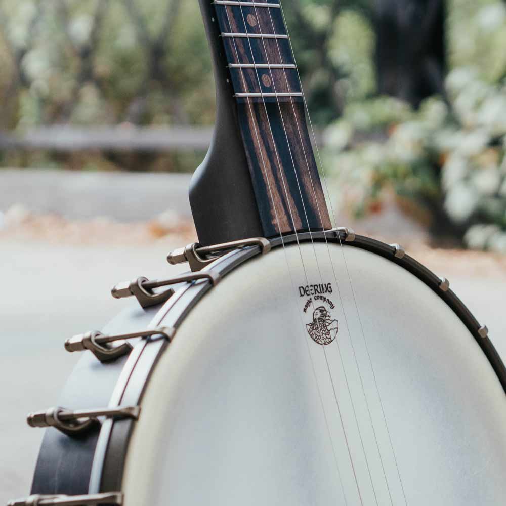 Vega Vintage Star banjo - neck and pot on bridge