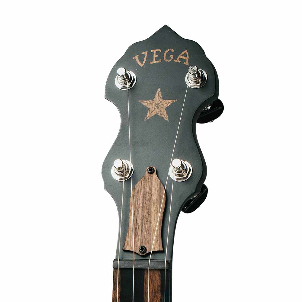 Vega Vintage Star banjo - front peghead 
