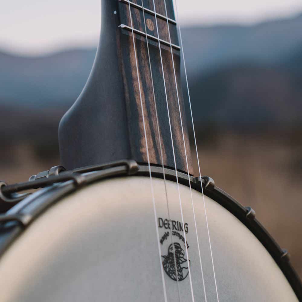 Vega Vintage Star banjo - scooped fingerboard