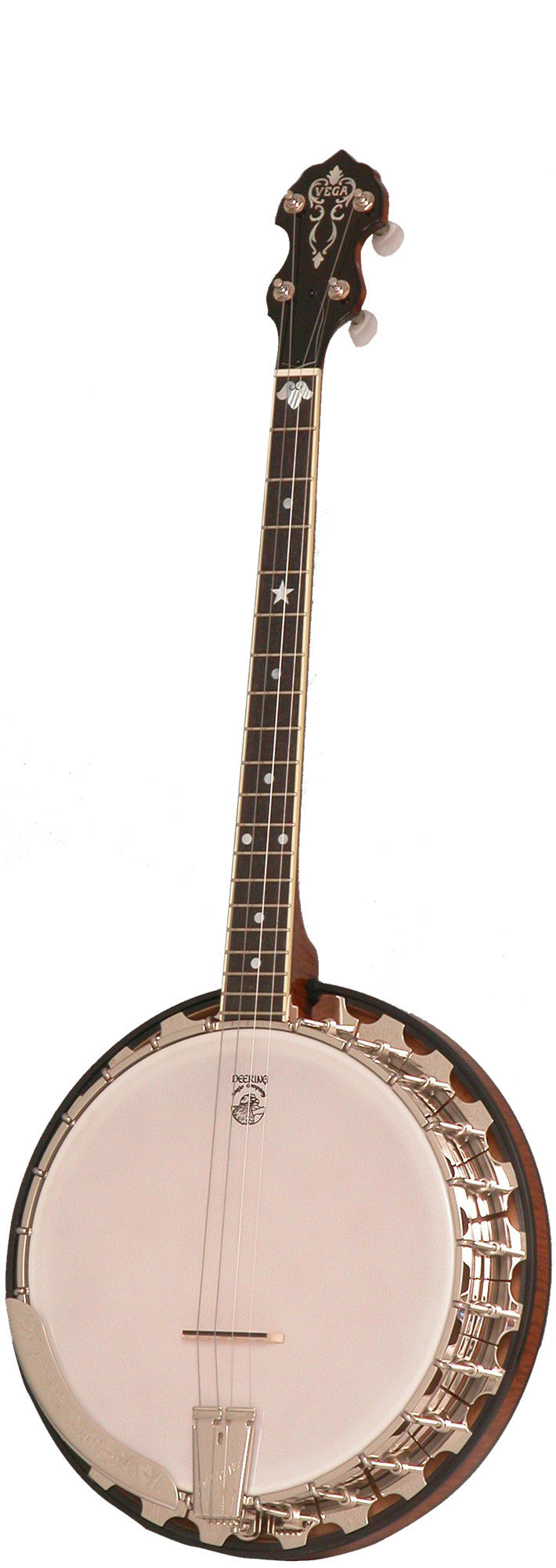 Vega® Professional 19-Fret Tenor Banjo
